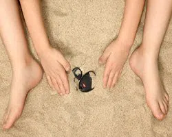 Colorado Springs Locksmith Solution Colorado Springs, CO 719-244-9303 Colorado Springs Locksmith Solution Colorado Springs, CO 719-244-9303